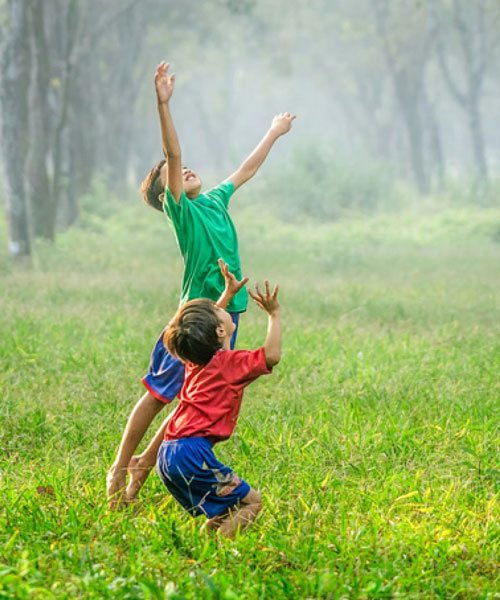 Brochure-IEDB-1 image brochure