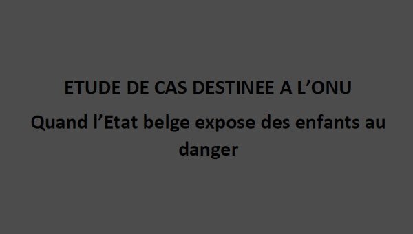 disfonctionnements Rapport ONU